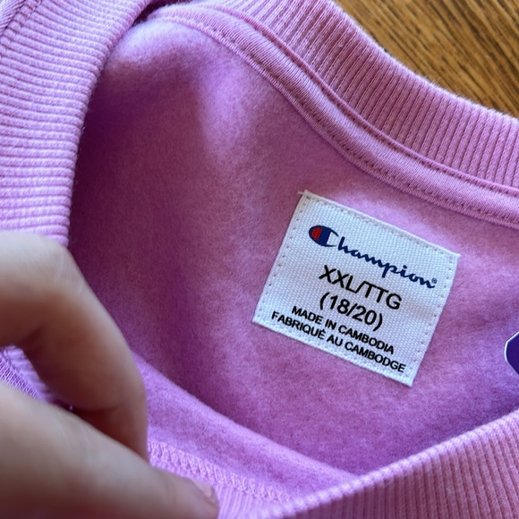 Champion Sweater - Picture 4 of 8